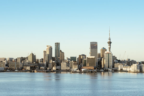 Early Birds 27 AKL Auckland New Zealand eb | Early Birds