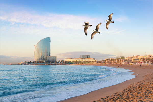 Early Birds 23 BCN Barcelona Spain eb | Early Birds