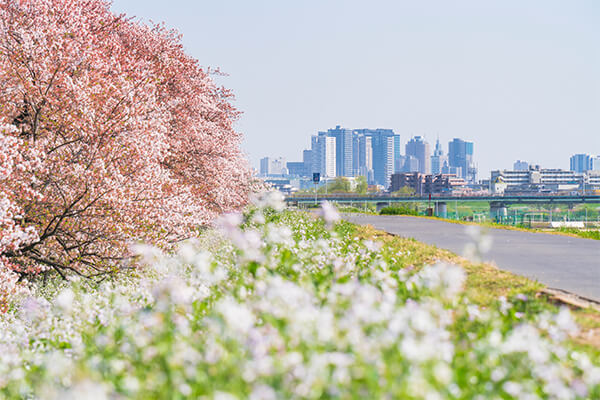 Early Birds 16 TYO Tokyo Japan eb | Early Birds