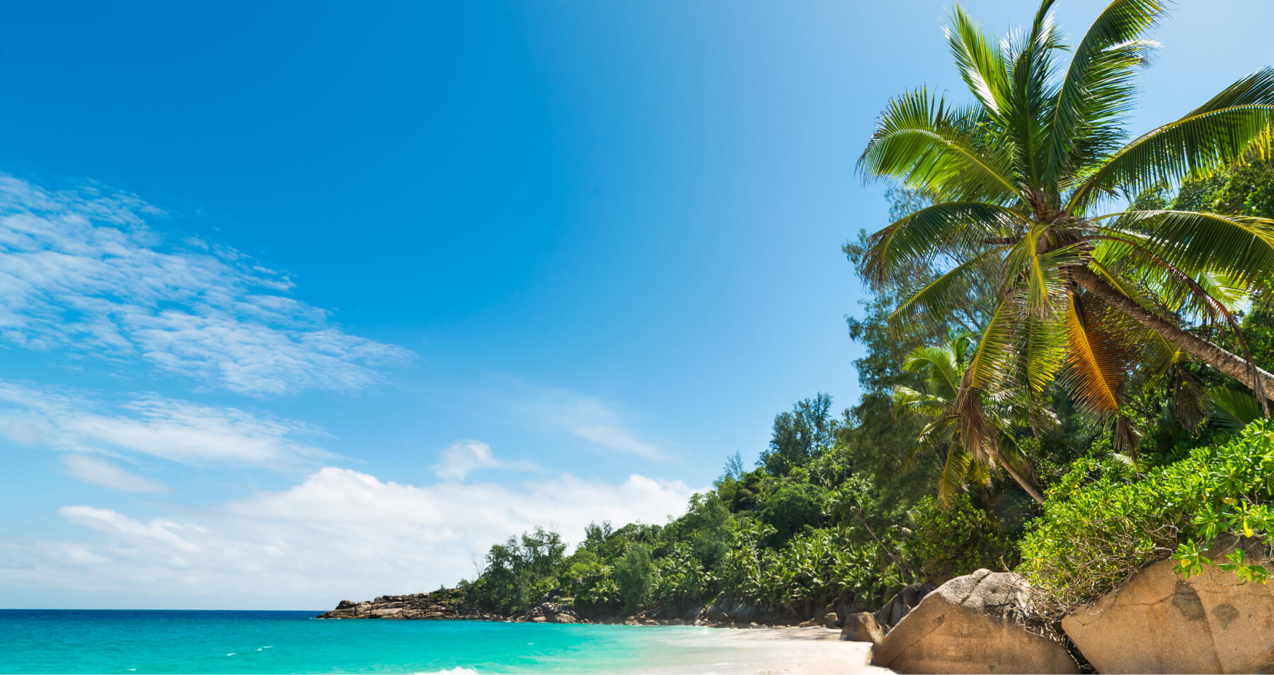 Big Savings on US Domestic Flights 1 cheap domestic flights bg | Big Savings on US Domestic Flights