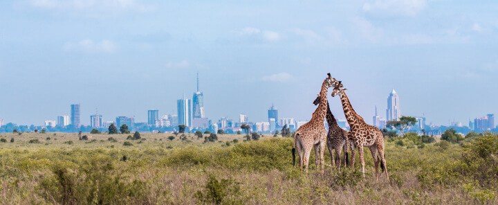 Nairobi